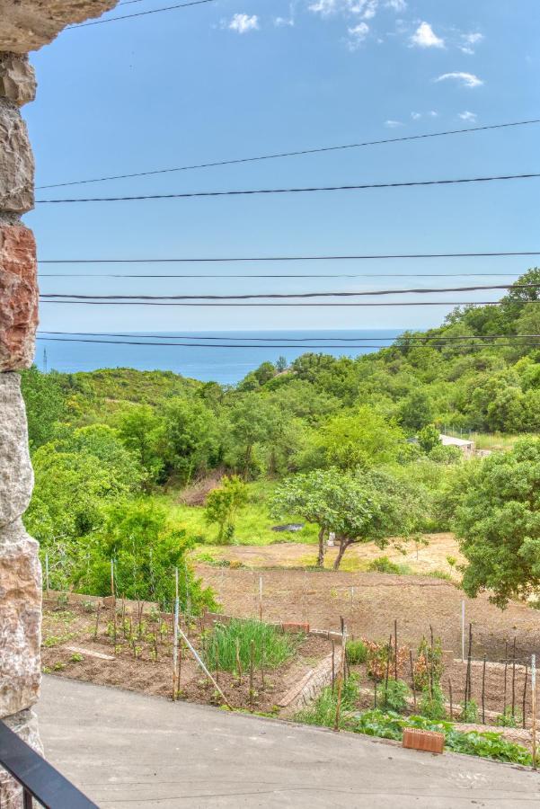 Vila Stari Mlin Ivanovici Buitenkant foto