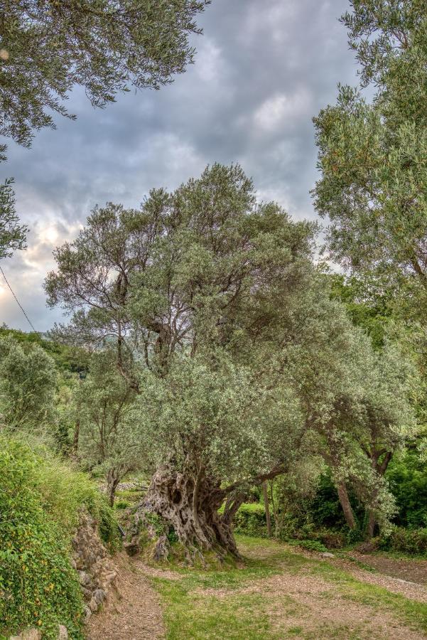 Vila Stari Mlin Ivanovici Buitenkant foto
